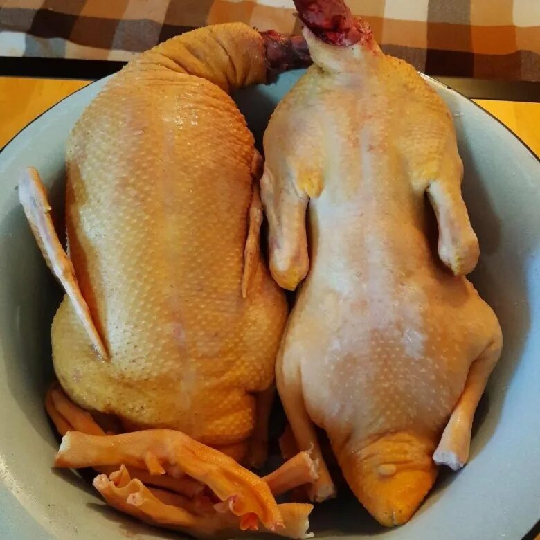 Сколько стоят утиные. Сколько стоят утиные. Сколько стоят утиные. Сколько стоят утиные. Сколько стоят утиные.