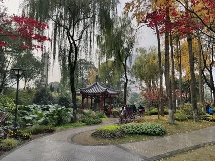 Парк горького китайский