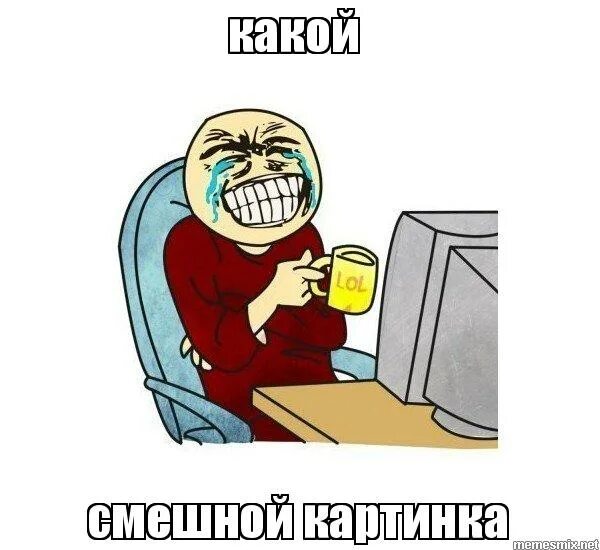 хрюшка в купальнике. смех мем. смешные собаки в пальто. забавные ситуации. прикол какой прикол.