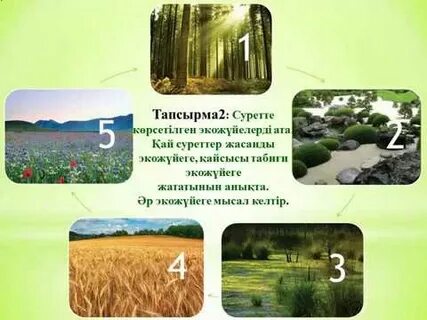 Жаратылыстану 5 сынып 2 сабақ
