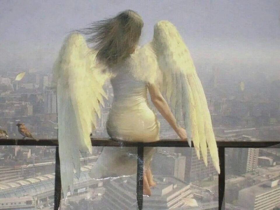 Вы совсем забыли как летать. Ангел улетел в окно. Ангелу надевает Крылья. Надевающийся Крылья. Мечтающий ангел.