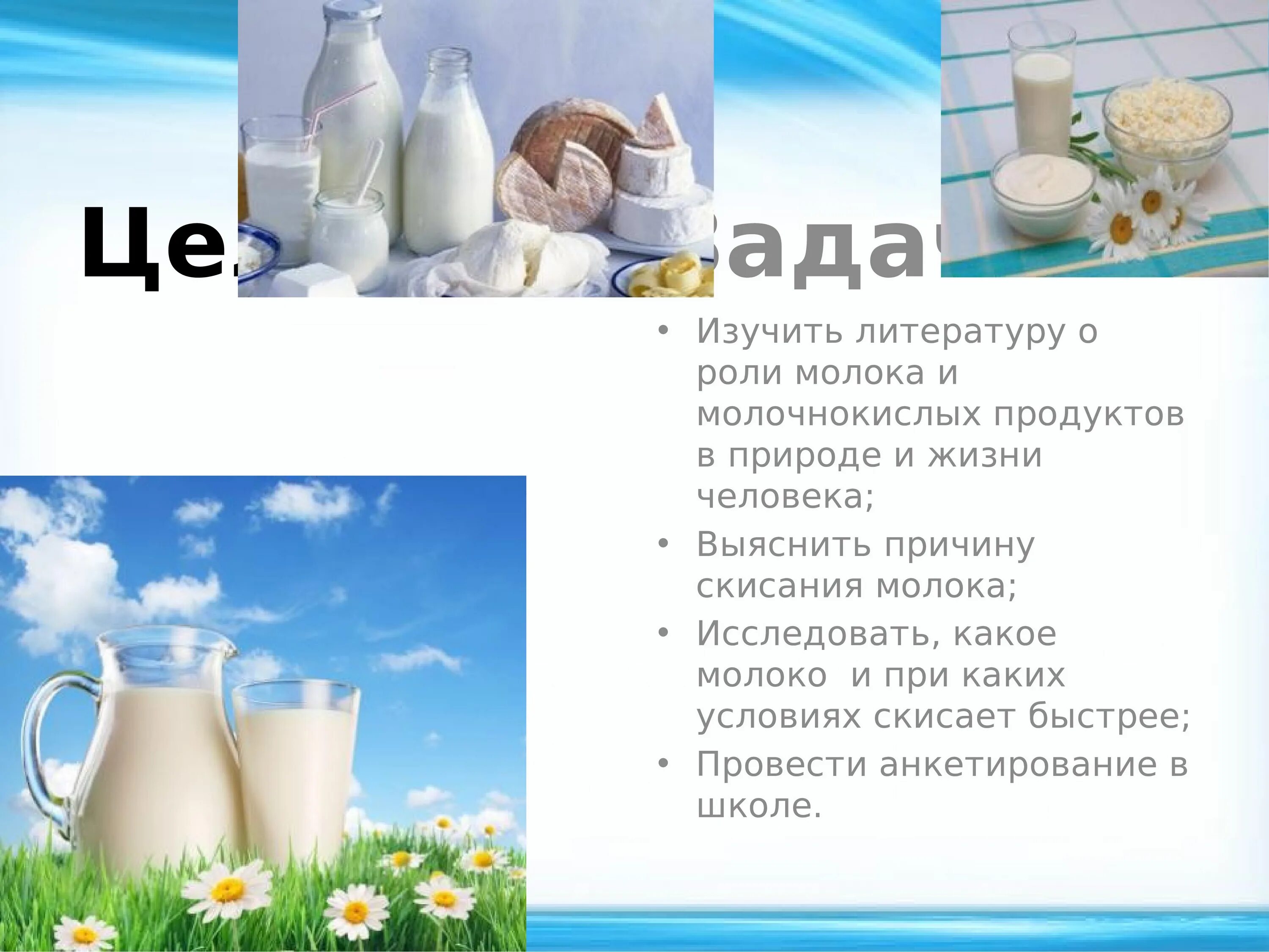 Какие продукты приводят молоко. Процесс скисания молока. Проект на тему молоко. Информация о молочных продуктах. Презентация на тему молоко.