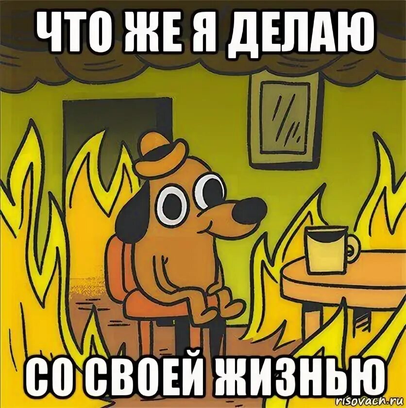 Собака в огне мем все хорошо Warm Hugs in Court by Kubbi
