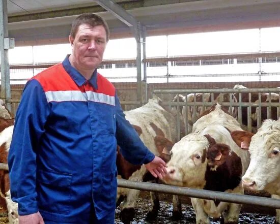 Новомарковка на карте. Схп новомарковское воронежская область. Схп новомарковское. Погода воронежская кантемировский новомарковка. Новомарковка воронежская область молвест.