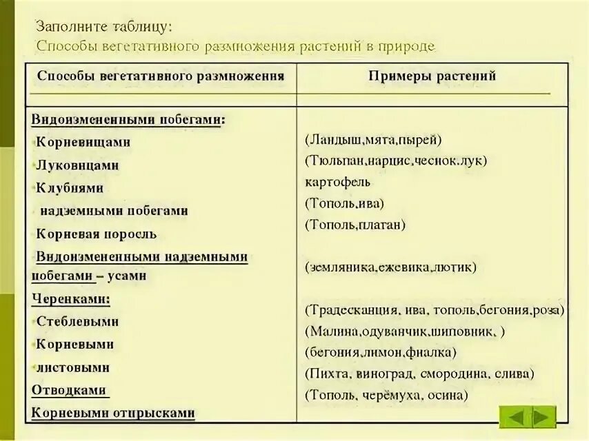 Вегетативные организмы примеры. Способы вегетативного размножения растений таблица с примерами. Таблица по биологии 6 класс способы вегетативного размножения. Способы размножения растений таблица. Вегетативное размножение растений 6 класс биология таблица.