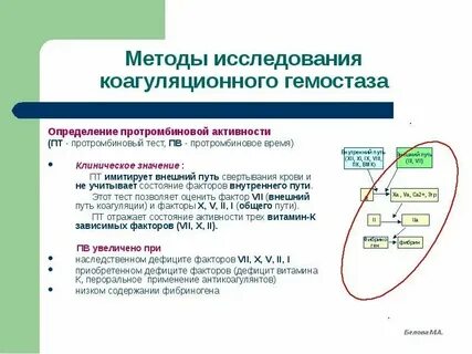 Анализ система гемостаза что это