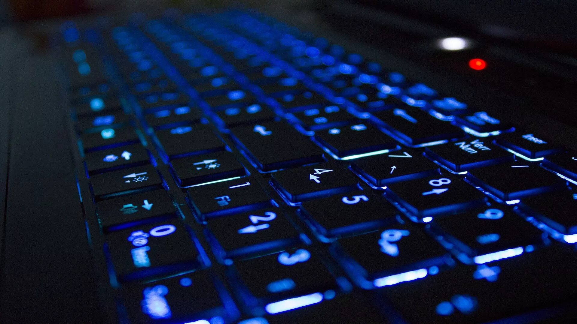 Computer flies