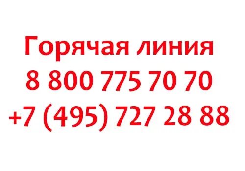 Озон номер телефона горячей линии. Озон горячая линия. Как позвонить в Озон. Озон номер телефона горячей. Номер телефона горячей линии Озон интернет магазин.