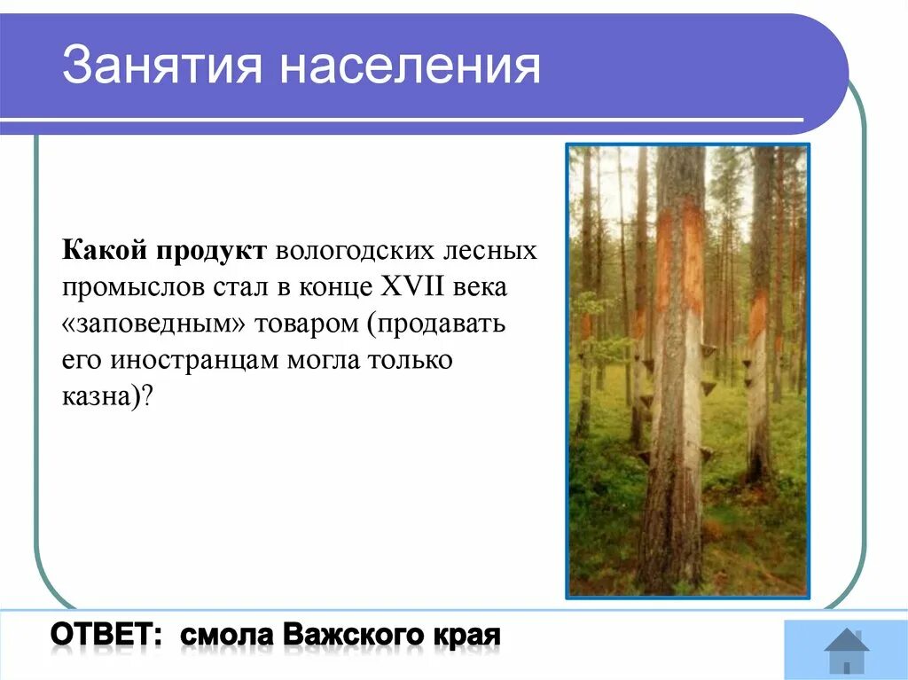 Население смешанных лесов народы