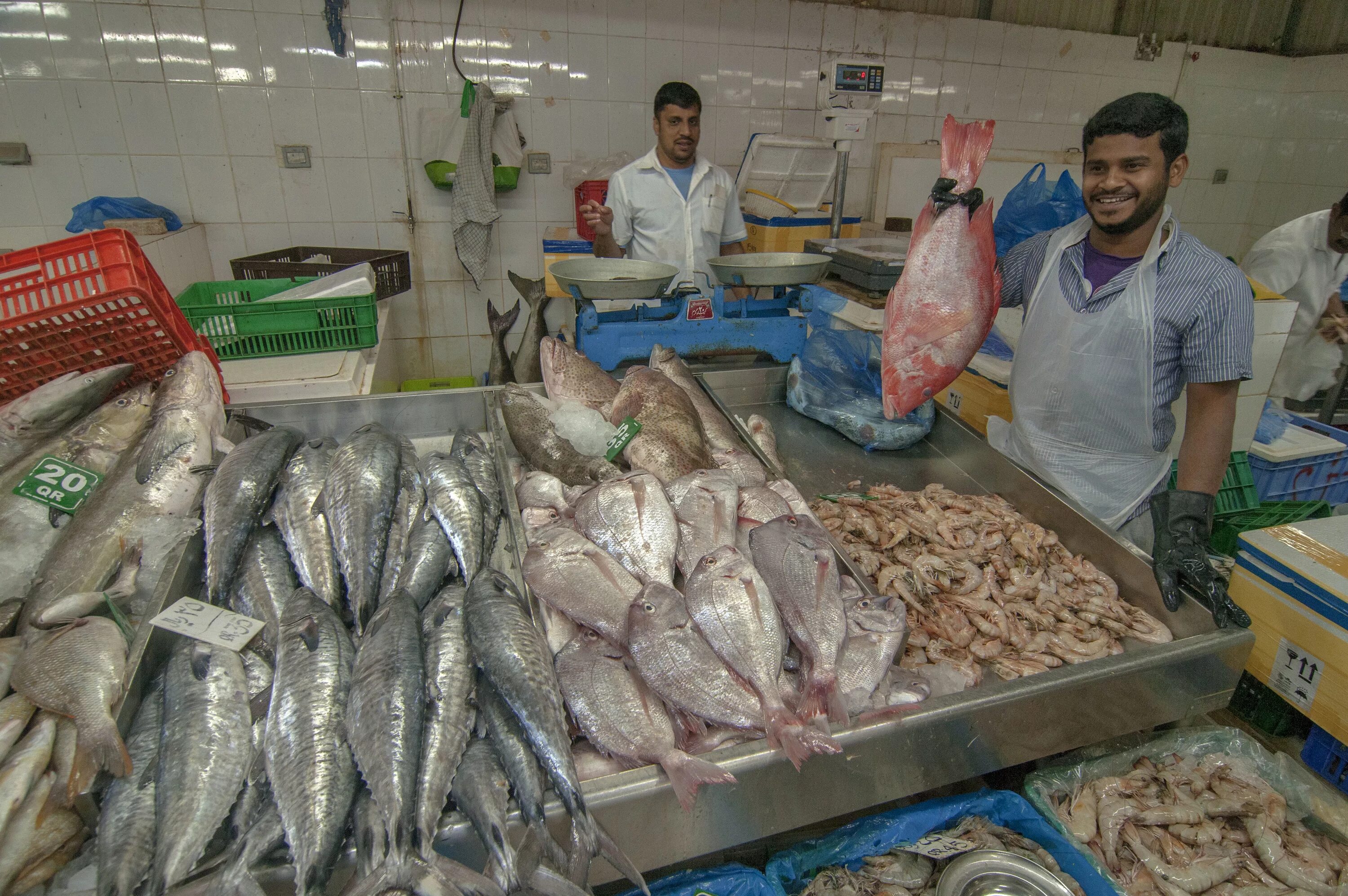 Берген рынок. Морепродукты в египте шарм-эль-шейх. Видео рыбных рынков. Ухань китай рыбный рынок. Видео рыбных рынков.