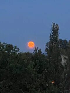 Луна в ярославле сегодня