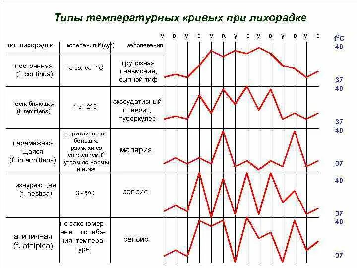 Постоянная температура круглый год. Типы температурных кривых при лихорадке. Зарисуйте температурные кривые при разных видах лихорадки. Температурная кривая при перемежающей лихорадке. Виды лихорадок по типу температурных кривых.