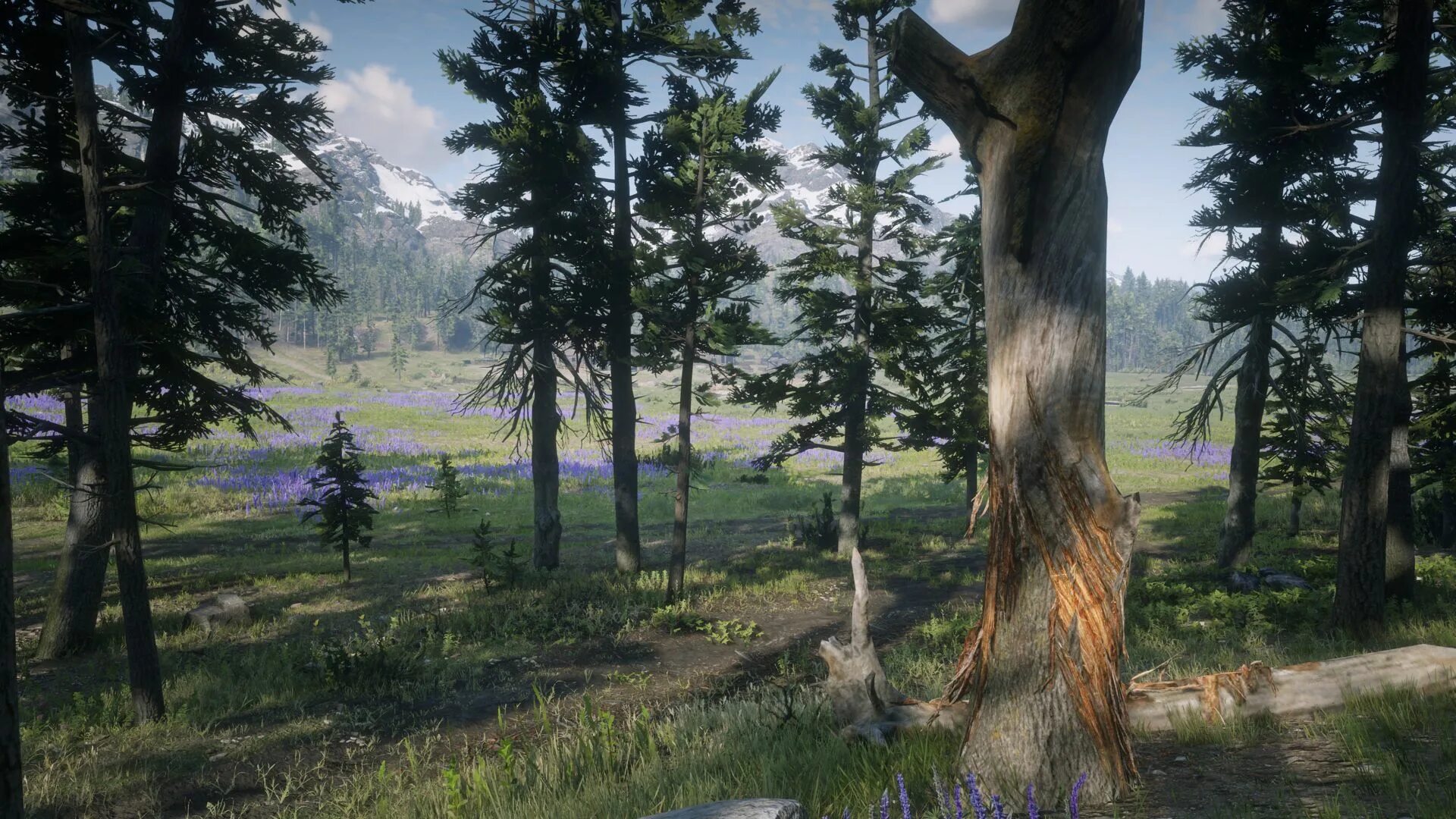 Дождь в рдр 2. Ред дед редемпшен 2 ps3. red dead redemption 2 пейзажи леса. деревья в рдр 2. red dead redemption 2 фон.
