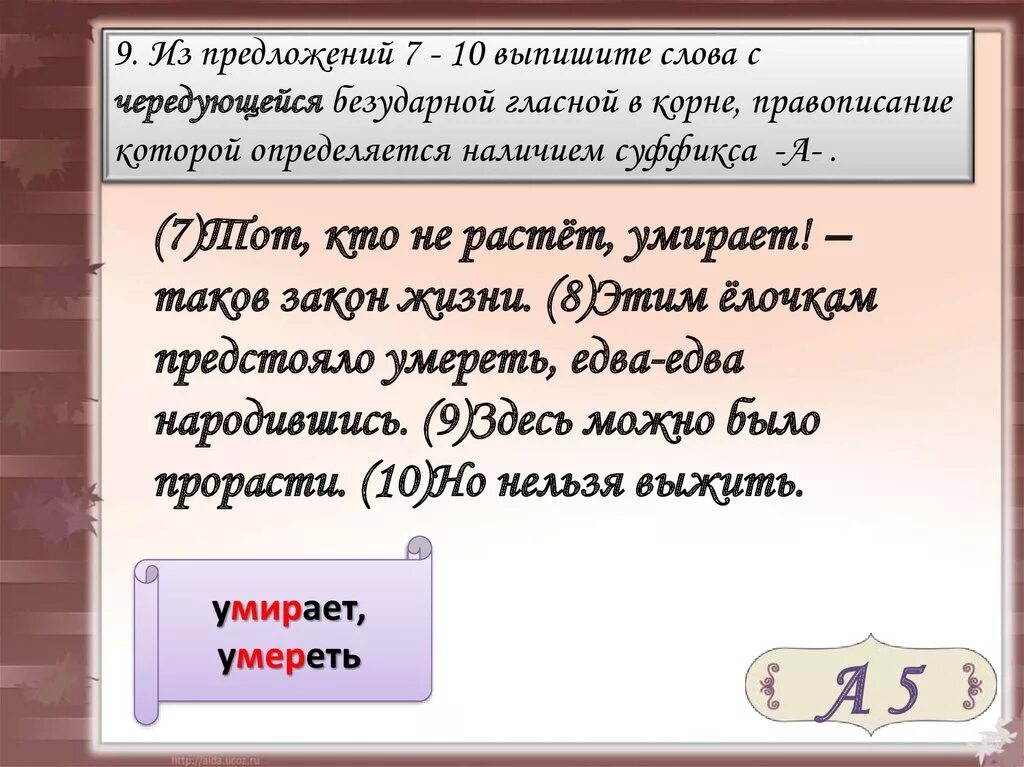 8 предложений с корнями. Предложение из 10 слов. Предложения с корнями с чередованием. Предложения с безударными гласными в корне. 10 Предложения с чередующейся гласной.