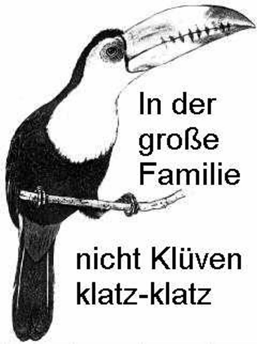 Нихт на немецком перевод. Дер Гроссен Фамилиен нихт клювен клац-клац. В большой семье нихт клювом клац клац. В большой семье клювом не щелкают на немецком. В большой семье клювом не щелкают.