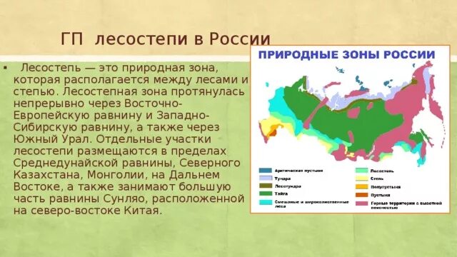 Географическое расположение смешанных лесов Тайга географическое положение таблица