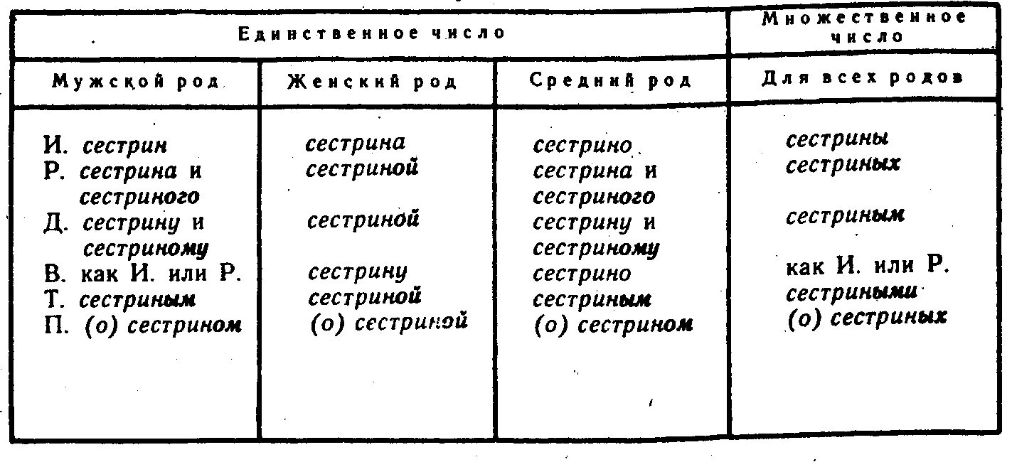 Выберите притяжательные прилагательные с окончанием кратких прилагательных. Склонение притяжательных имен прилагательных. склонение притяжательных прилагательных таблица. притяжательные прилагательные склонение. склонение притяжательных прилагательных в русском языке таблица.