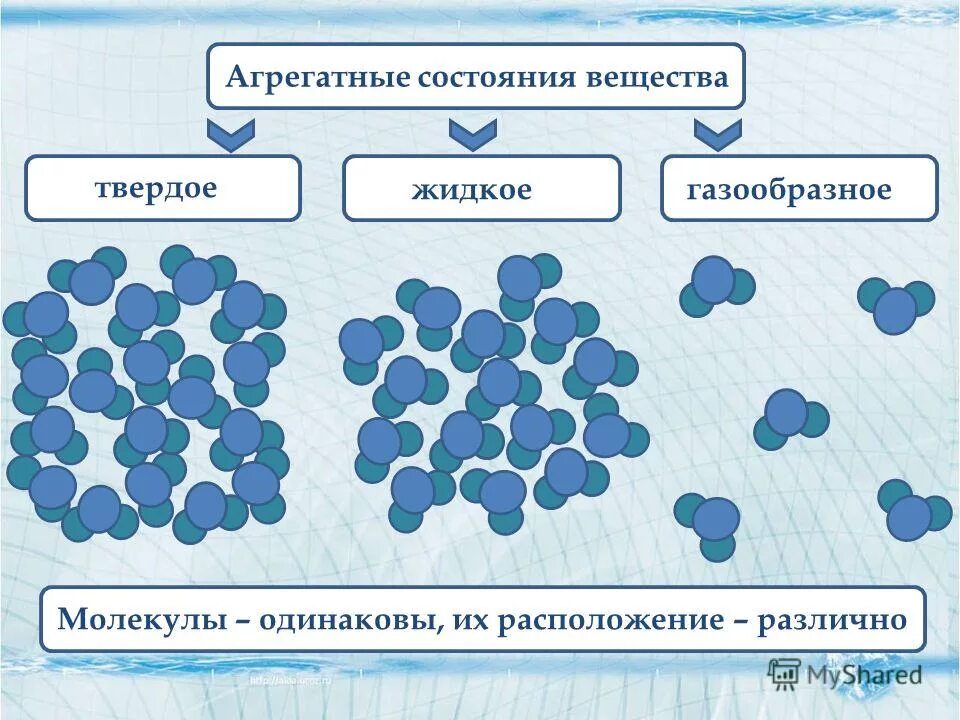 Расположите различные