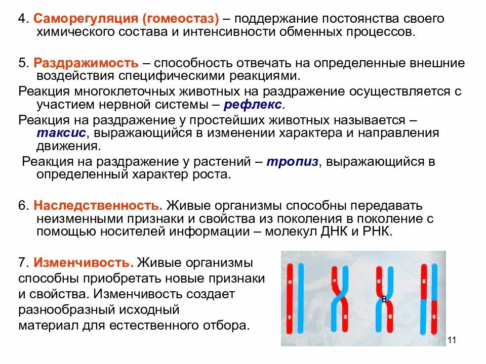 Саморегуляция систем организма. Саморегуляция гомеостаз. Саморегуляция гомеостаз примеры. Принципы саморегуляции постоянства внутренней среды организма. Гомеостаз хьо Саморегуляуия.