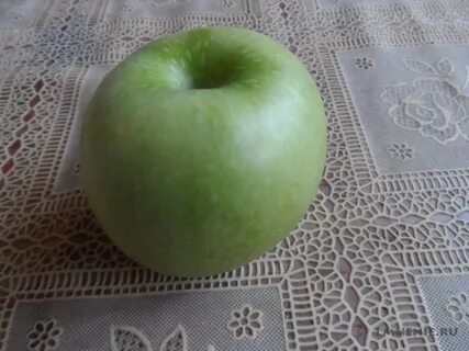 Яблоня гренни