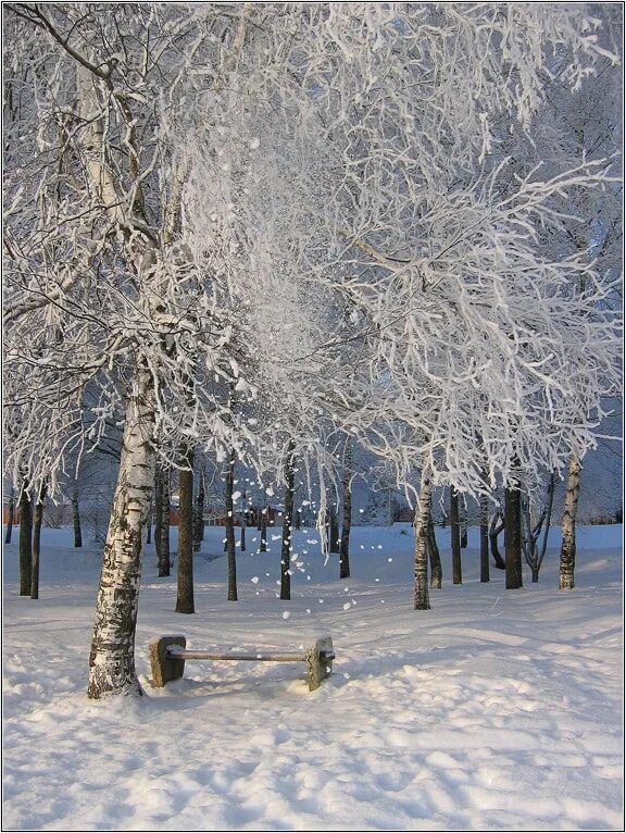 Snow go