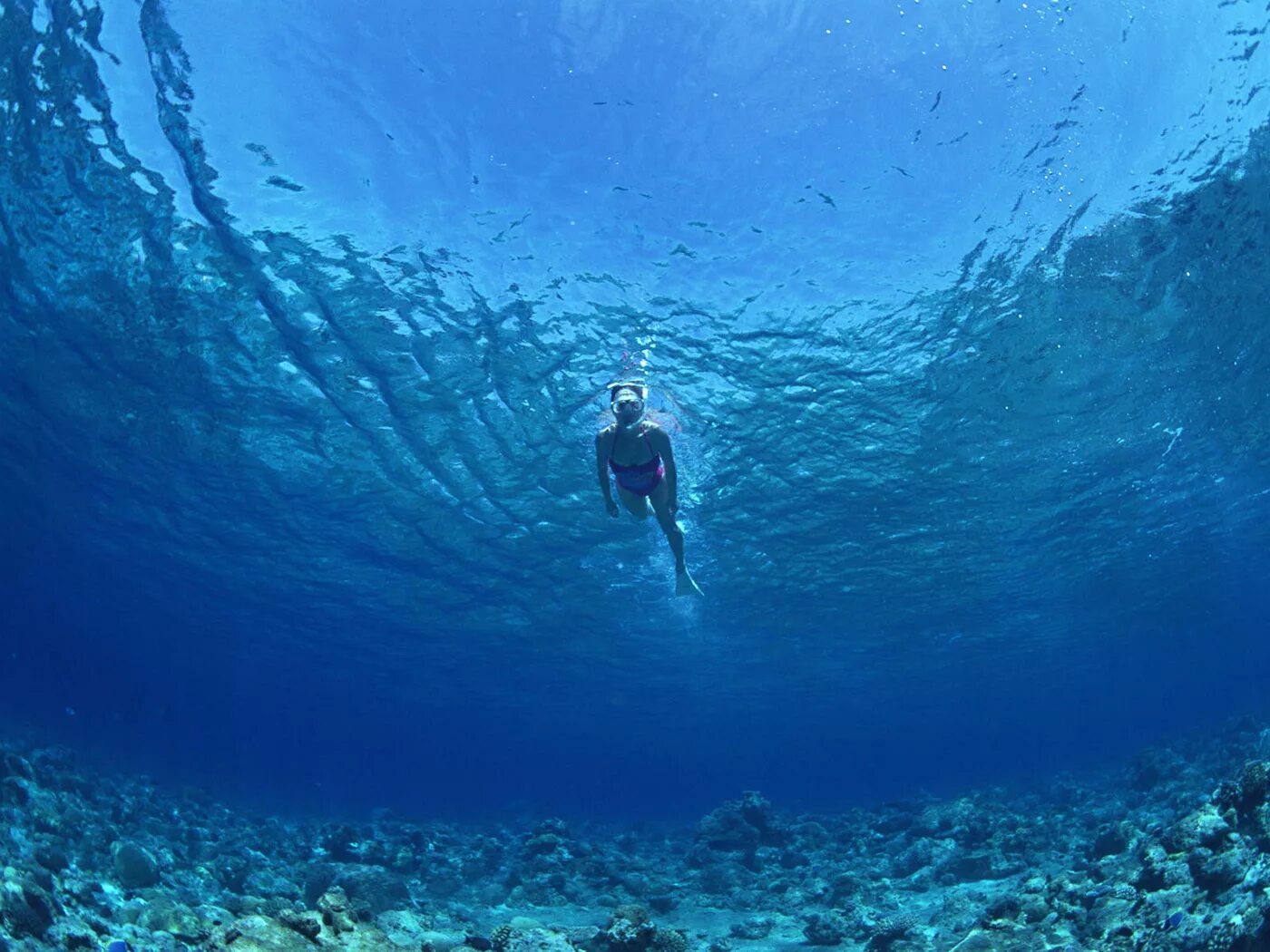 Толща воды океана. Море под водой. Море глубина. Океан под водой. Морские глубины.