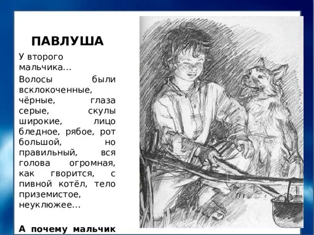 Тургенев Бежин луг Павлуша. Павлуша Бежин луг портрет. Бежин луг характеристика мальчиков. У второго мальчика Павлуши волосы были всклоченные черные.