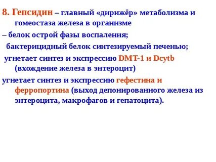 Гипсидин