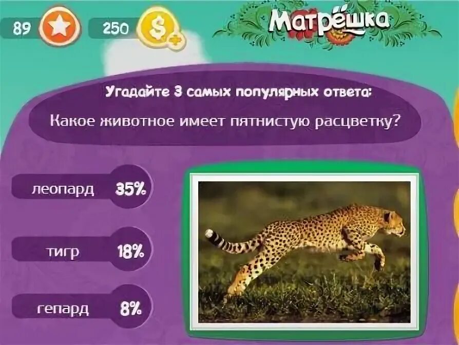 формозанский дымчатый леопард. переднеазиатский леопард. окрас королевский гепард. какое животное имеет пятнистую расцветку. какое животное имеет пятнистую расцветку.