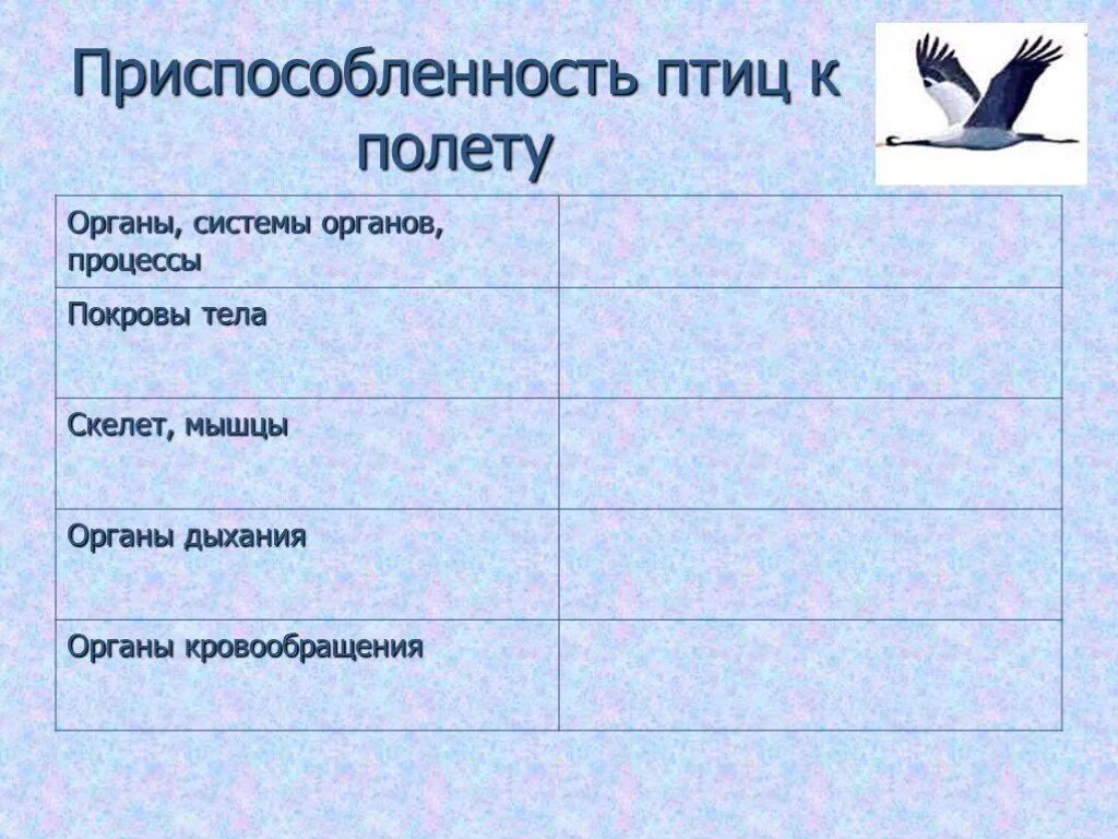 Приспособления систем органов птиц к полёту. Приспособленность птиц к полету. Приспособления птиц к полету. Таблица органов птиц.