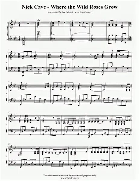 Nick cave wild roses. Where the Wild Roses grow Ноты. Where the Wild Roses grow Ноты для фортепиано. Where the Wild Roses grow текст. Wild Rose Ноты.