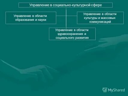 Органы осуществляющие управление в социально культурной сфере