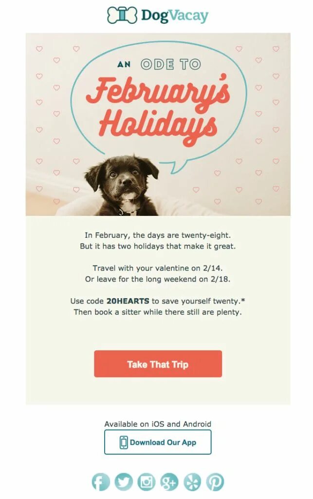 Pets mail. Pet email. Почта питомец. Email Pets ЕГЭ. Email Dog.