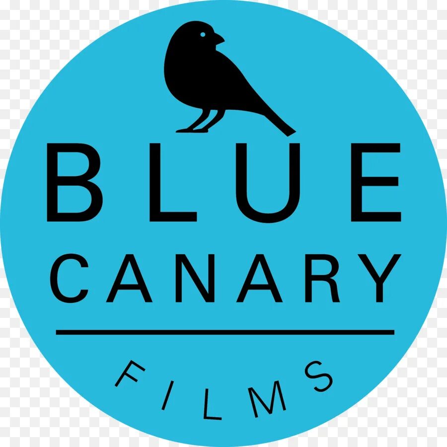 Canary перевод. Blue Canary Лицедеи. Blue Canary салон. Аква логотип. Bird sign.