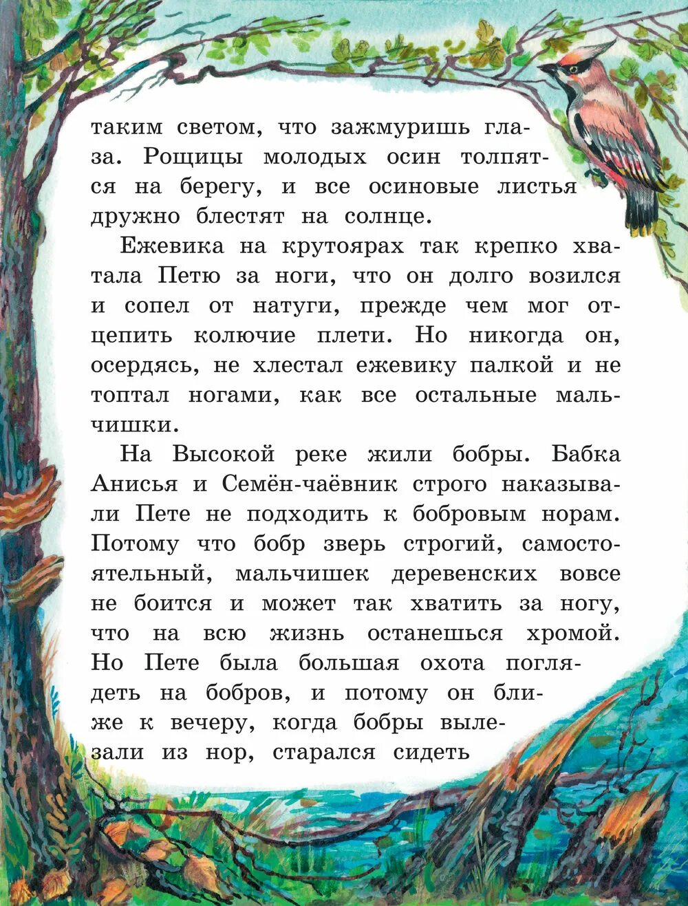 Паустовский береза. Рассказ подарок паустовский. произведение паустовского подарок. сказка подарок паустовский.