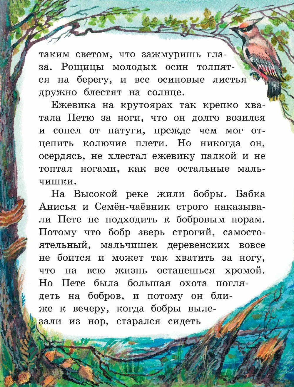 Рассказ подарок Паустовский. Произведение Паустовского подарок. Сказка подарок Паустовский.