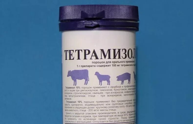 Дозировка тетрамизола. Порошок от паразитов для свиней тетрамизол. Лекарство от глистов для свиней тетрамизол. Тетрамизол 10 для свиней. Тетрамизол порошок, 100г.