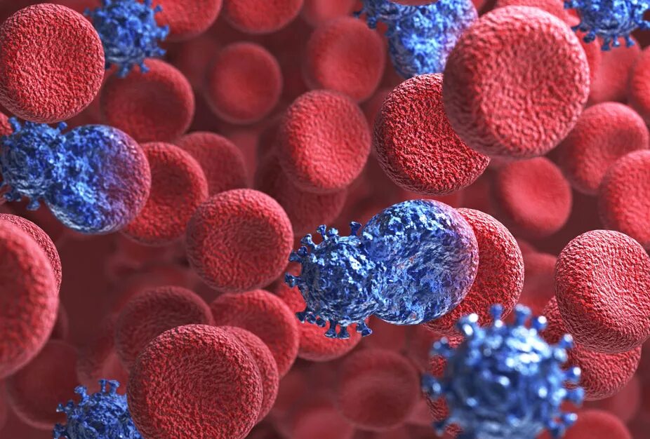 ВИЧ В крови под микроскопом. СПИД бактерия. Вирус СПИДА под микроскопом. Human immunodeficiency virus
