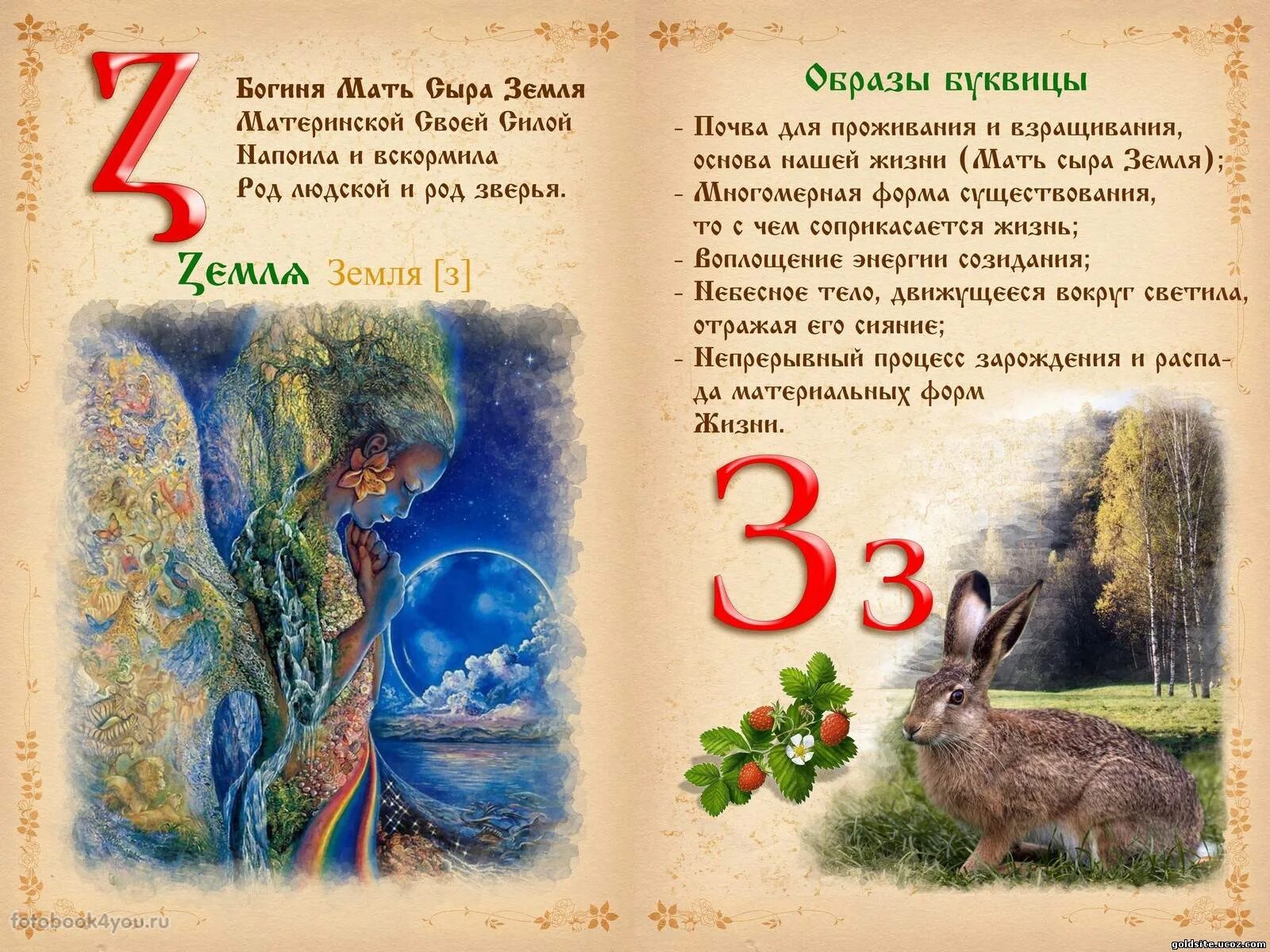 Откуда буква z