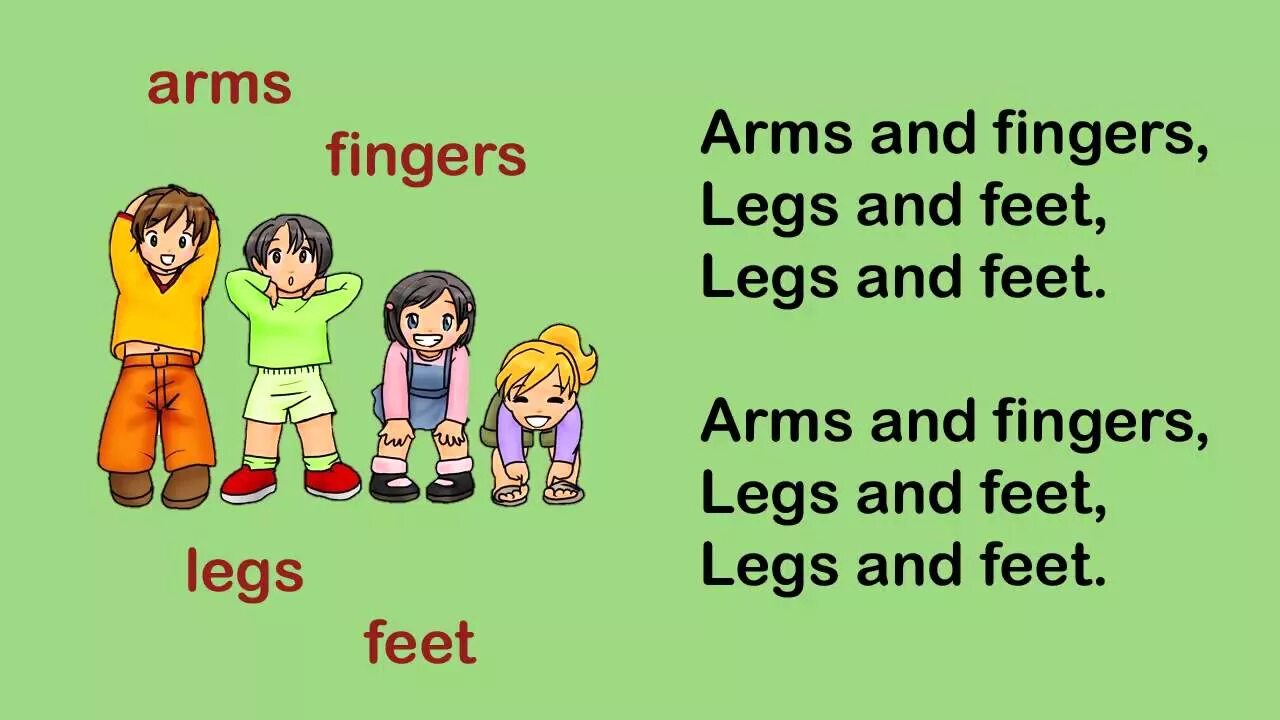 Toes пальцы название. Catch on my toes перевод. Leg foot разница в английском. Head and shoulders song for kids. Toes перевод на русский язык с английского.