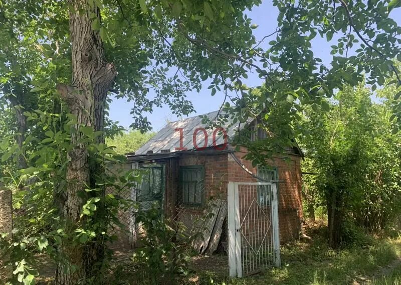 Каспаровские дачи армавир. Заря востока армавир. Снт армавира. Улица розовая армавир дачи. Армавир проезд древесный д.