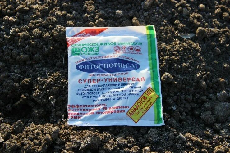 Можно ли поливать огурцы фитоспорином
