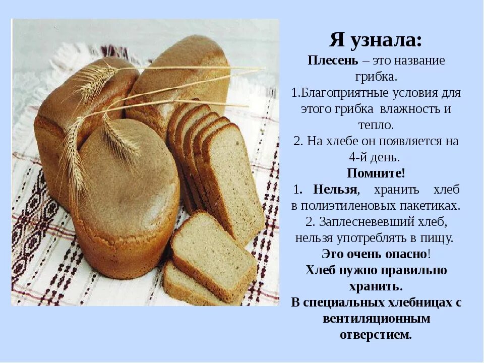 Белый хлеб получают из. Плесень на хлебе. Плесень на хлебобулочных изделиях. Заключение плесень на хлебе. Плесневые грибы на хлебе.