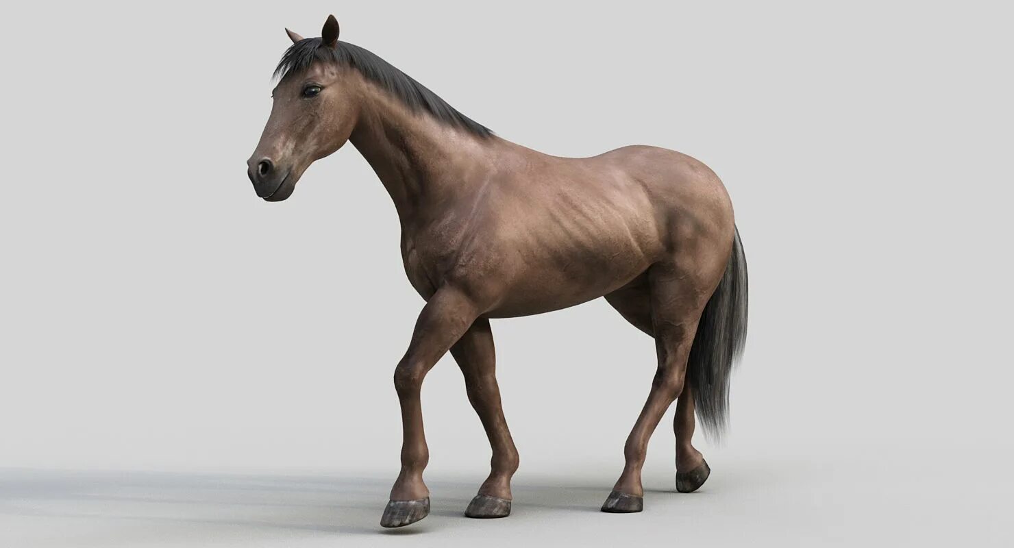 Pro horse. Кто 1 научил лошадь. Horse mount. Pro horse. Pro horse.