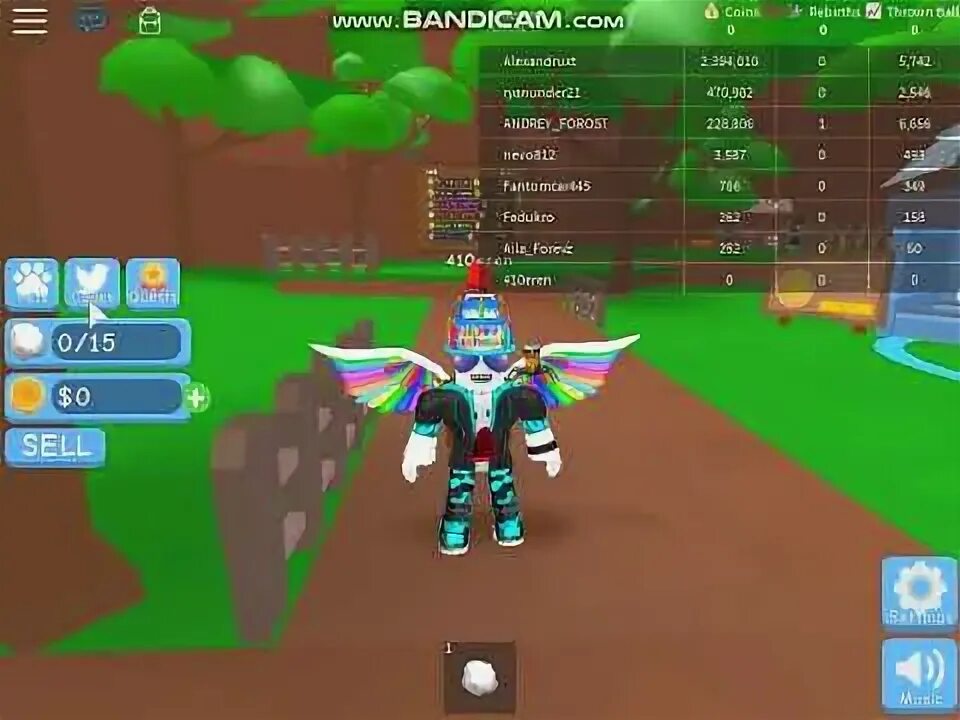 Ball simulator codes. Ball simulator codes