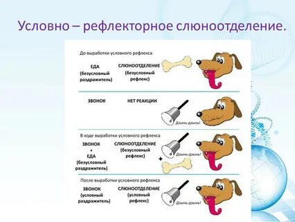 Виды слюнотечения