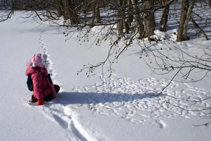 зима в сугробах прячется