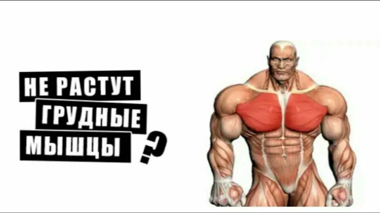 Плохо растут мышцы. Не растут мышцы. как растут грудные мышцы. почему не растут грудные мышцы.