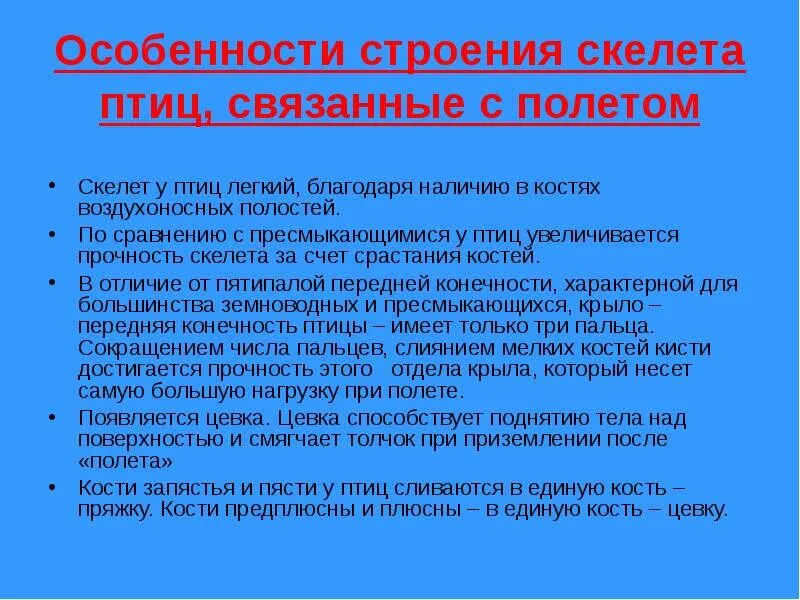 Какие особенности скелета птиц связаны с полетом. Особенности строения птиц. Особенности строения скелета птиц. Особиности строения " птиц". Особенности строения птиц связанные с полетом.