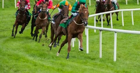 Horse racing betting